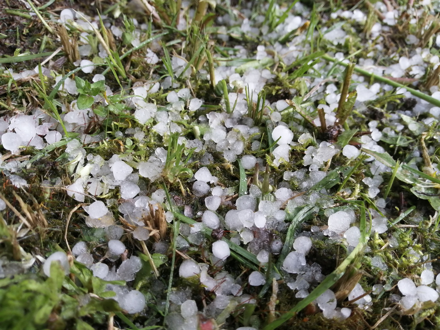 hail damage