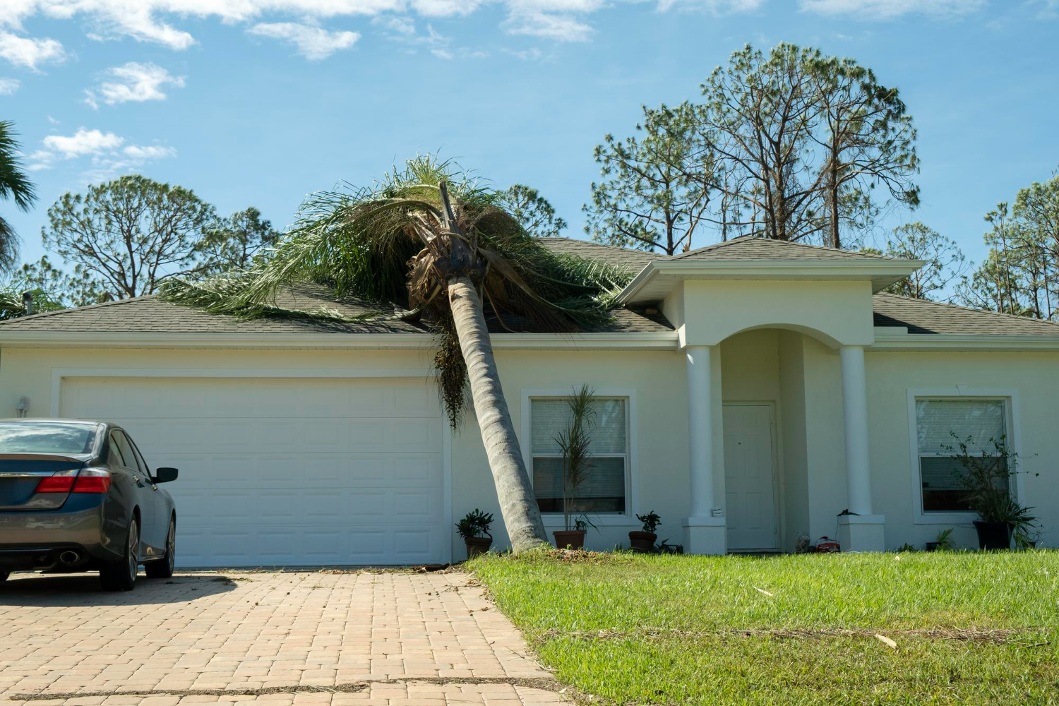 storm damage
