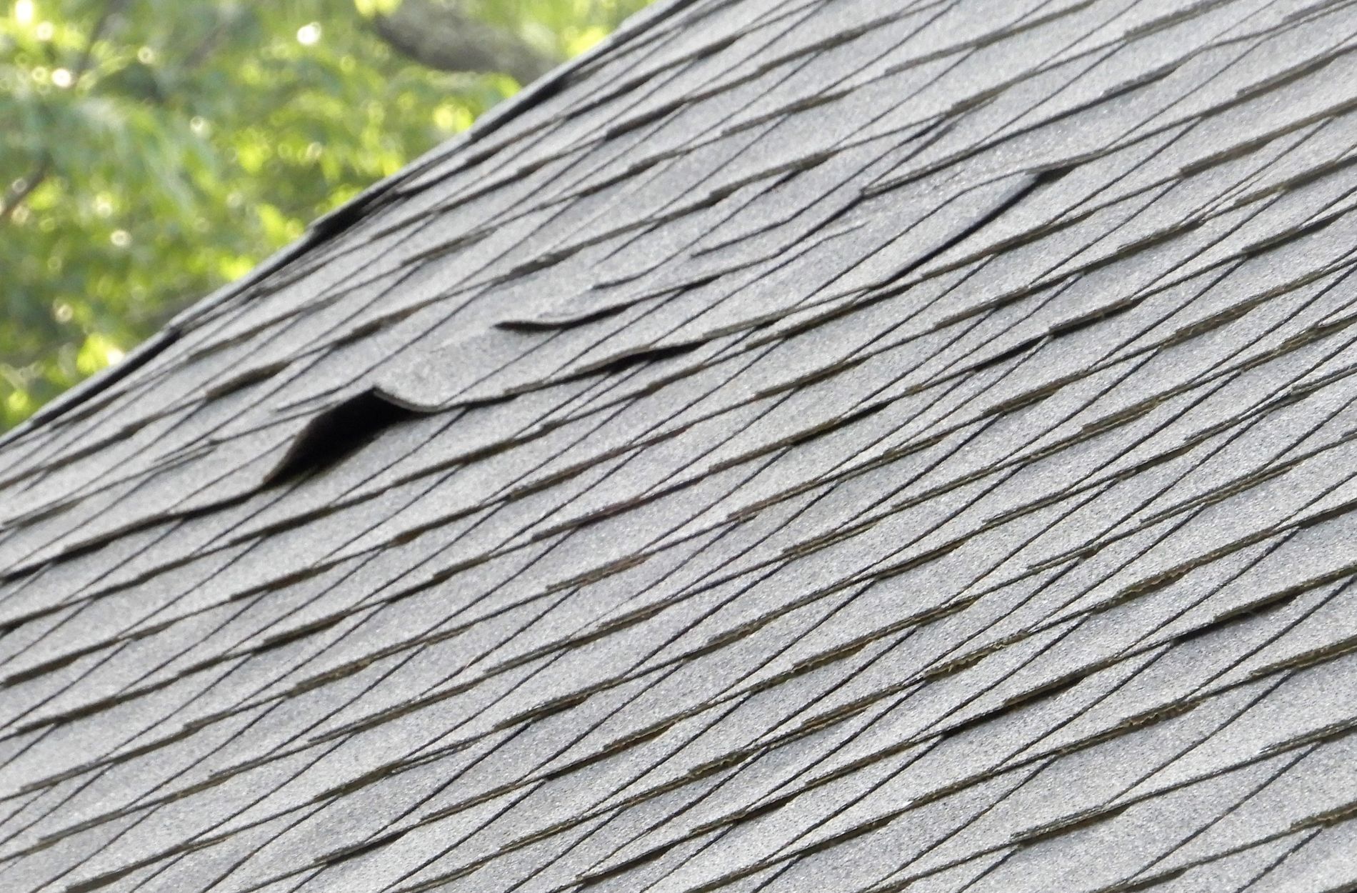 damaged roof