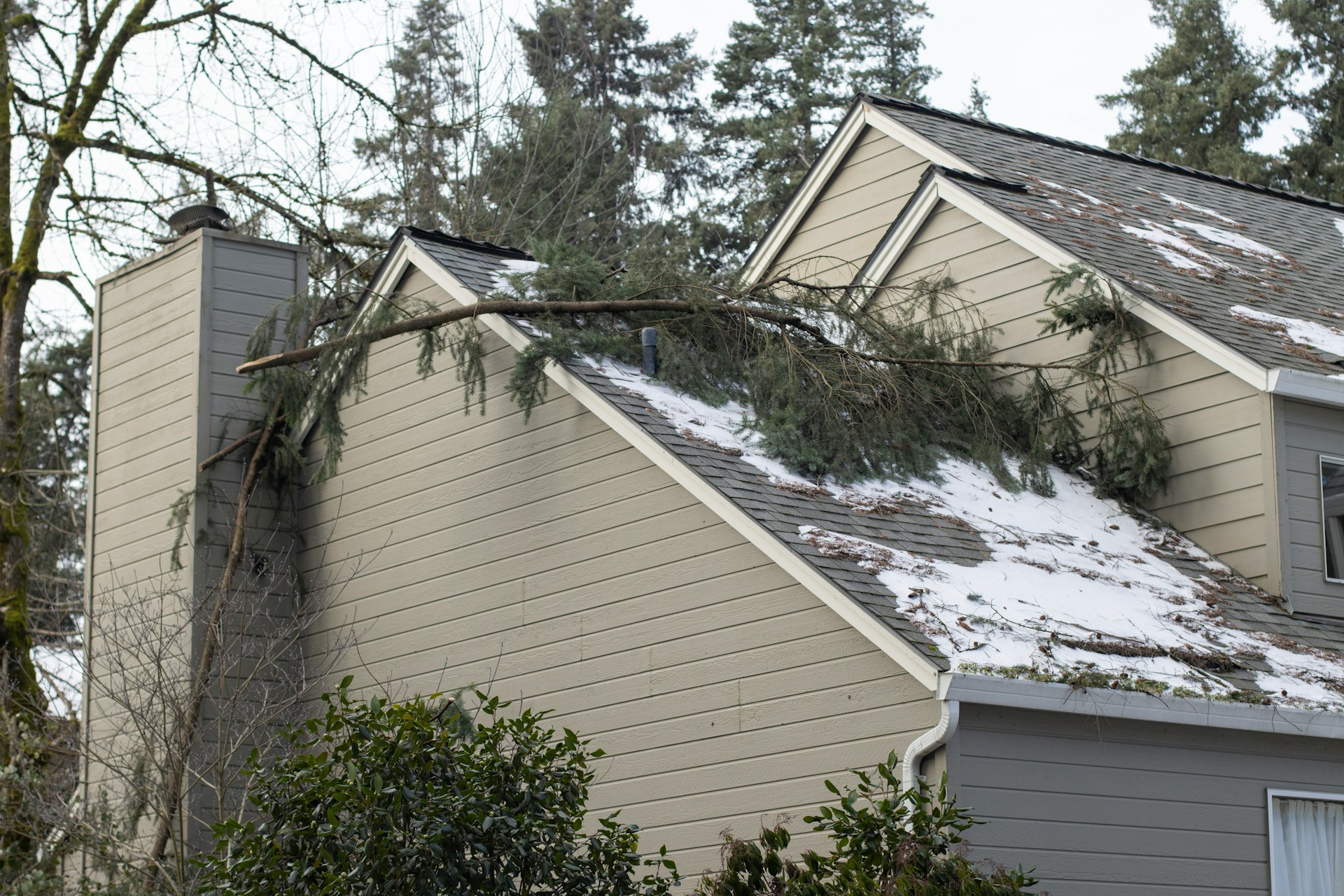 storm damage