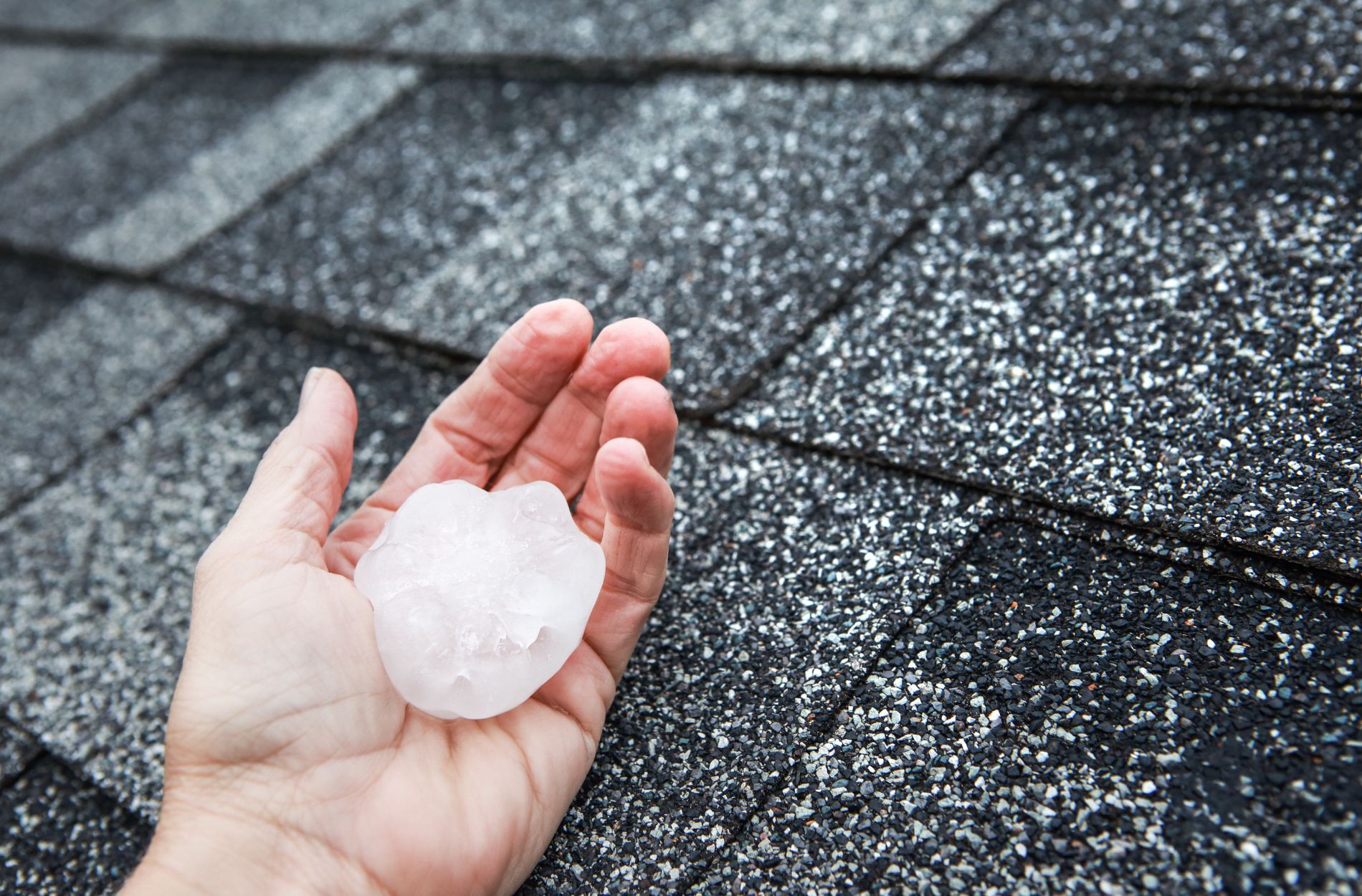 hail damaged