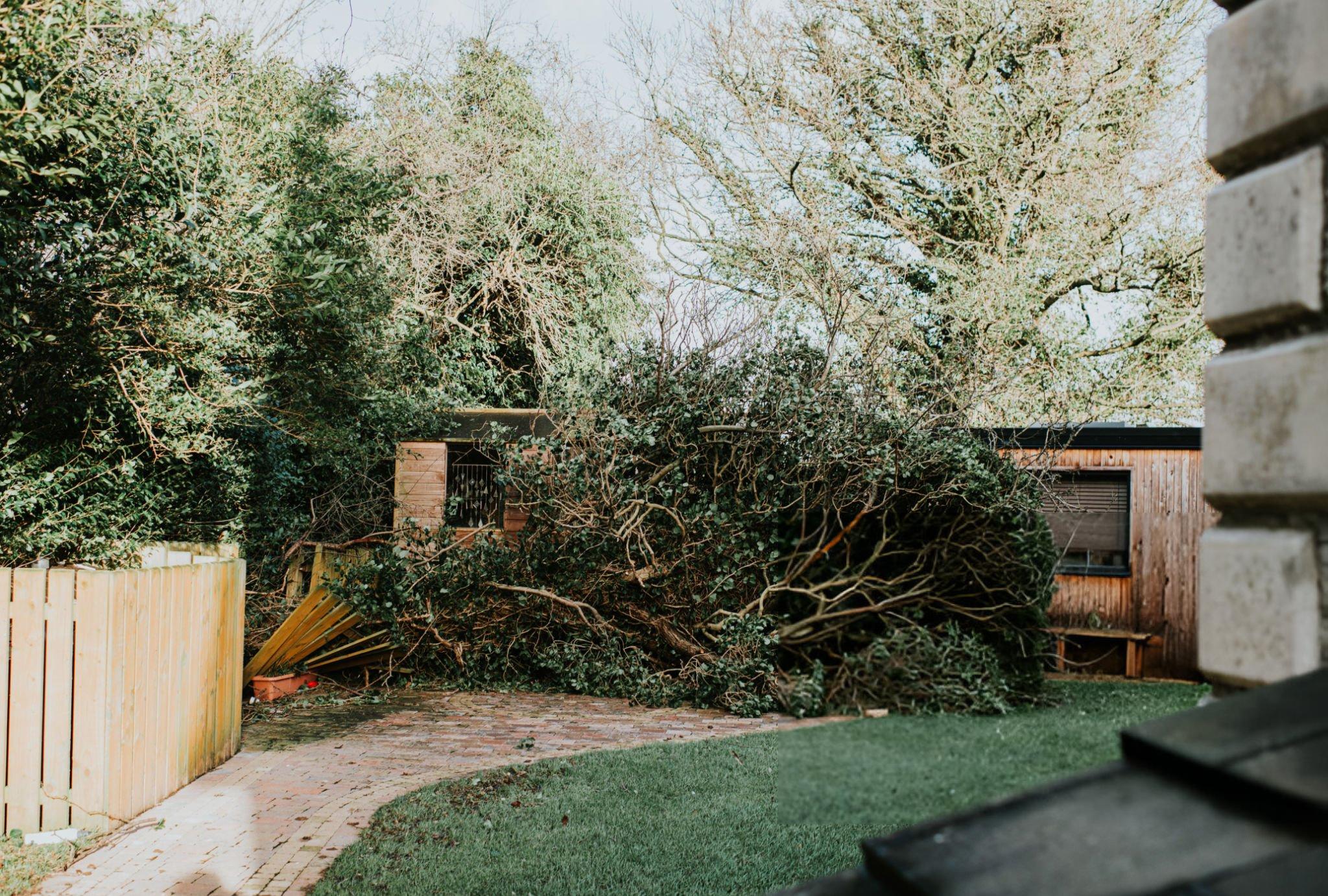 post storm